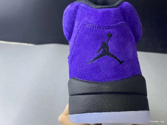 Jordan Grape 5 Alternate Air 136027-500 Retro 0610